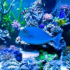 水族鱼友俱乐部