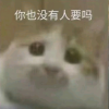 你不会也没人要吧