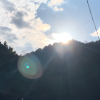 频道头部图标