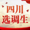 四川选调生