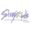 Stray Kids频道图标