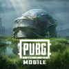 和平精英&PUBGM频道图标