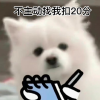 吃瓜，cp，闲聊，追星