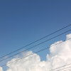 教院二附岛