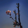 文案馆