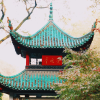湖南大学｜校园论坛频道图标