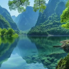 安在期约的频道频道图标
