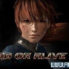 死或生6服装MOD群