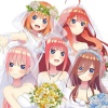 五等分的花嫁频道图标