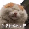 礼貌qz，你的自定义频道