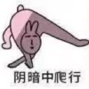 赤水三中的校园频道