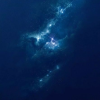星海