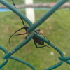 频道头部图标