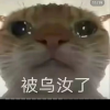 A spokesp的频道