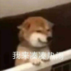 天庭