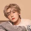 鹿晗频道频道图标