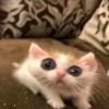 银.
