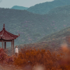 旅行日记本频道图标