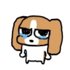 一个表情包