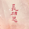 电视剧长相思频道图标