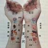 中医养生频道图标