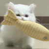 自由创作