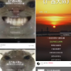 妳給旳大学生