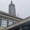 梧桐的游戏频道