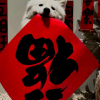 传奇晋级赛