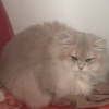 风暴