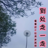 频道头部图标