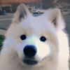 素材