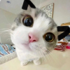 随便聊
