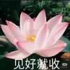 频道头部图标