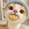 久念挚爱的频道
