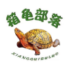 箱龟