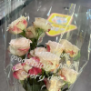 交友～学习自律会🌷🌷