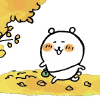 自嘲熊频道图标