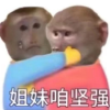 2.5次元冲浪🏄🍺社区