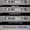 SEVENTEEN束草频道图标