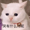 频道头部图标