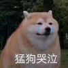 笙歌终有离的频道