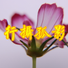行摄孤影频道图标