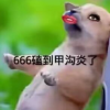 666磕到甲沟炎了