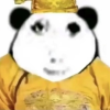 光 遇