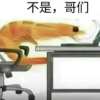 二次元图片分享