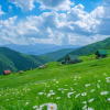 频道头部图标