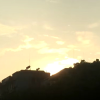 石油17级交流频道