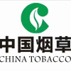 烟草交流群