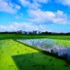 山清水秀养老院